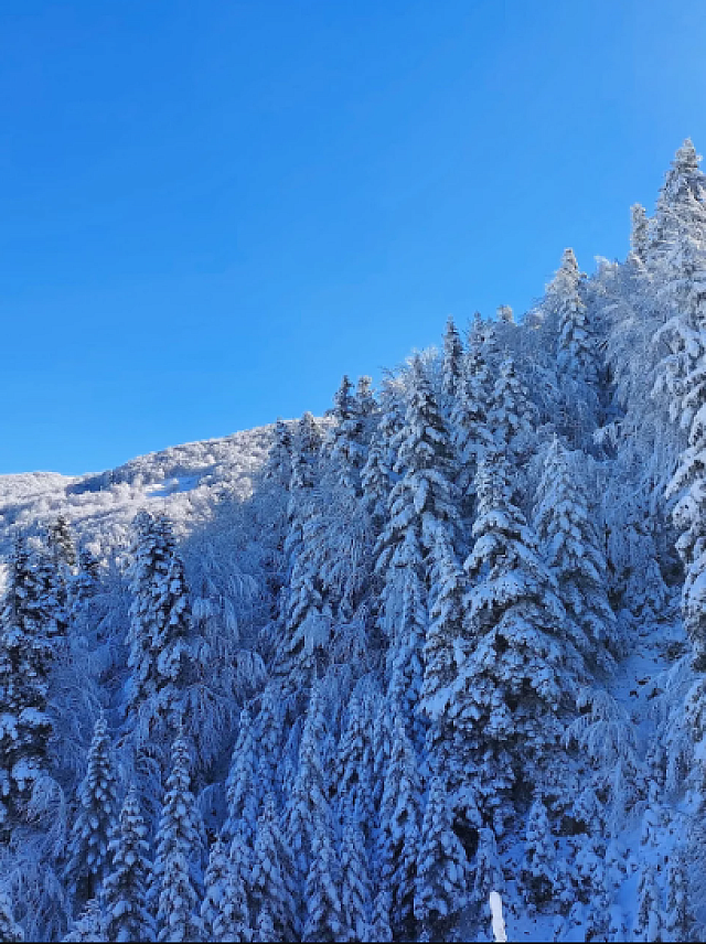 Δάσος Οξυάς χιόνι 4