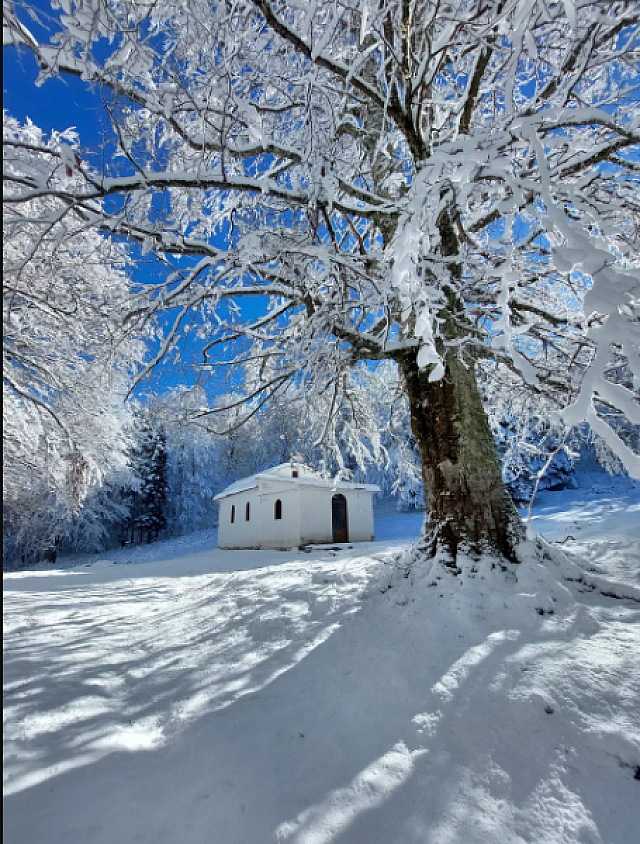 Δάσος Οξυάς χιόνι