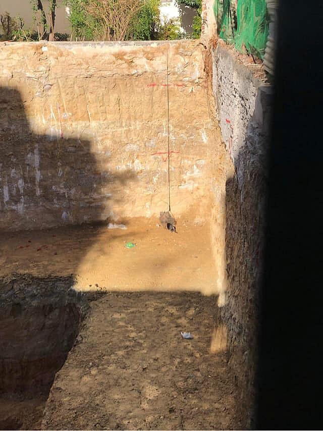 Διάσωση γάτα θεμέλια 2