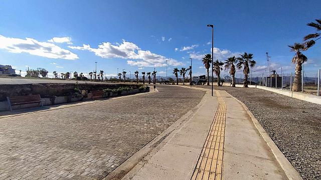 θαλασσινά αλικαρνασσός