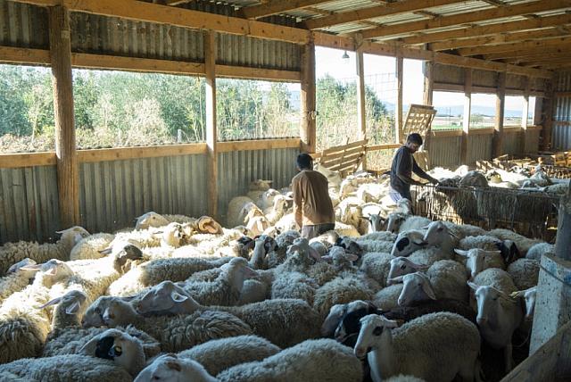 Ινδοί αγρότες 1