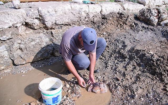 αρχαία κιουτάχεια