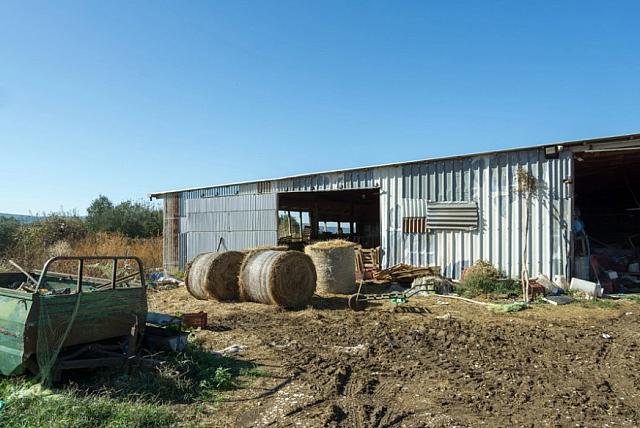 κτηνοτροφική μονάδα Χαλκιδική