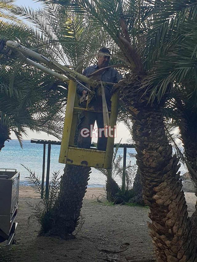 ΒΑΙ ΣΚΑΘΑΡΙ