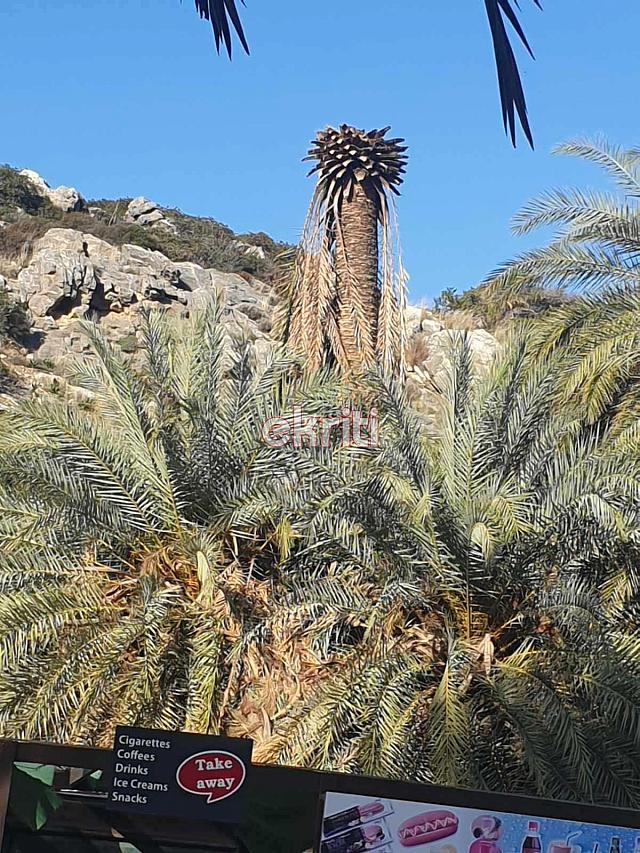 ΒΑΙ ΣΚΑΘΑΡΙ