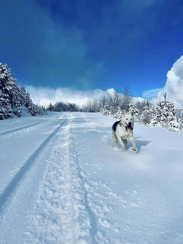 χιονια - Ελλάδα 