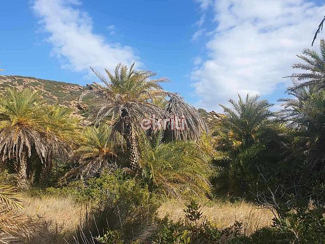 ΒΑΙ ΣΚΑΘΑΡΙ