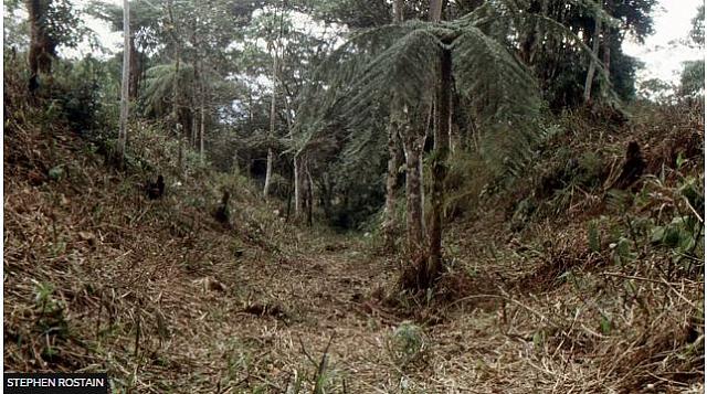 αμαζονιος αρχαια πολη