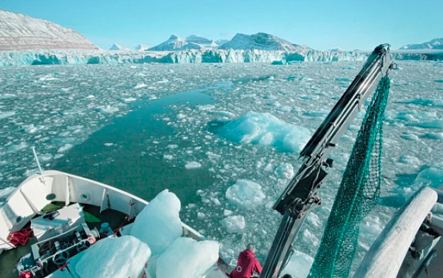 αρκτικος παγος