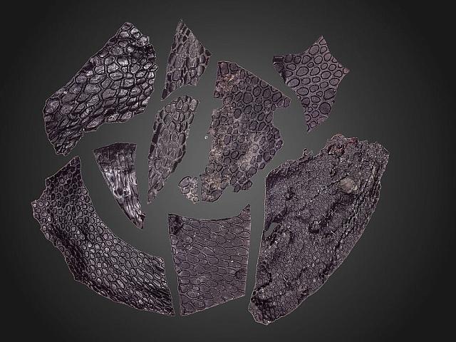 δεινοσαυρος