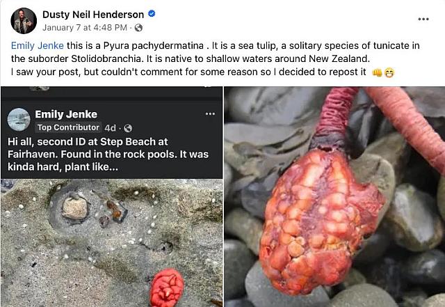 Πλάσμα - Αυστραλία 