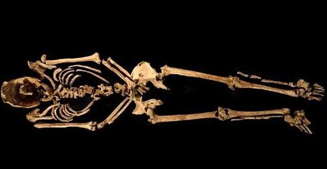 σκελετός βρετανία