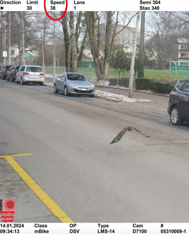 καμερα πιανει γερακι