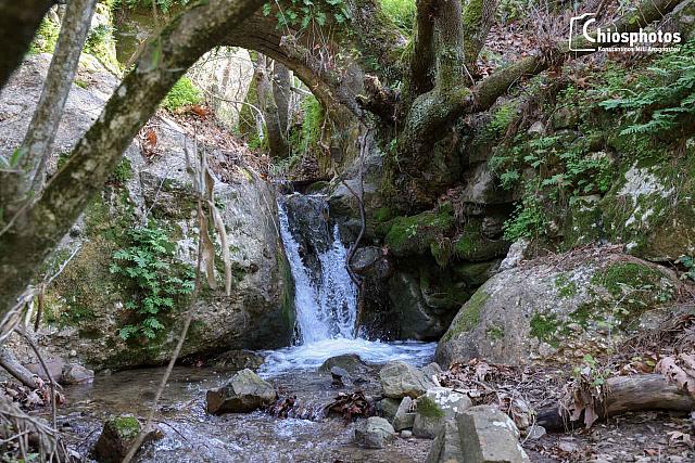 φαραγγι καμπιων - χιος