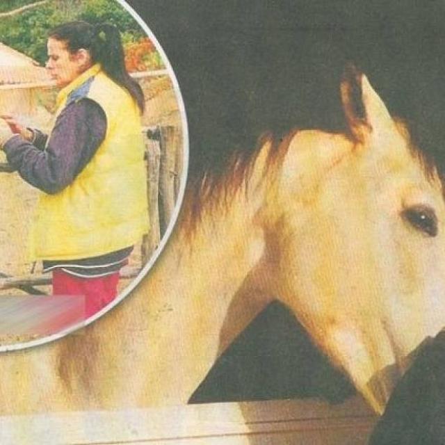 ελενα ναθαναήλ - άλογο