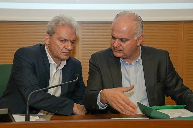 καλοκαιρινός αγριμανάκης