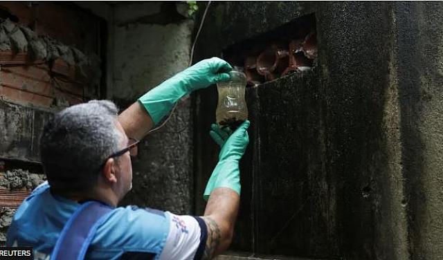 ΒΡΑΖΙΛΙΑ ΔΑΓΚΕΙΟΣ ΠΥΡΕΤΟΣ