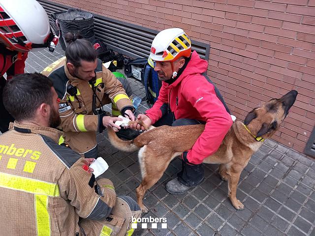 μπανταλονα