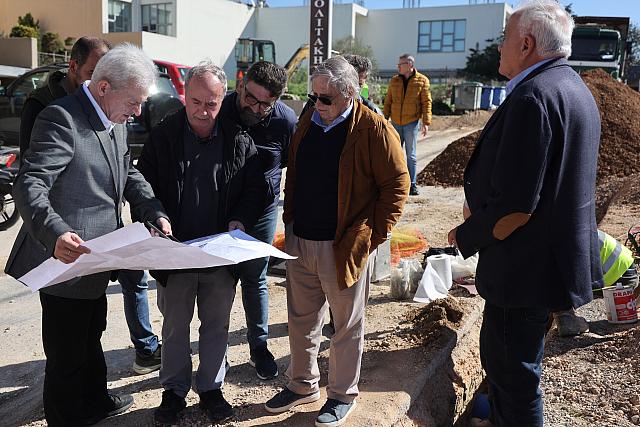 καλοκαιρινος δικτυα