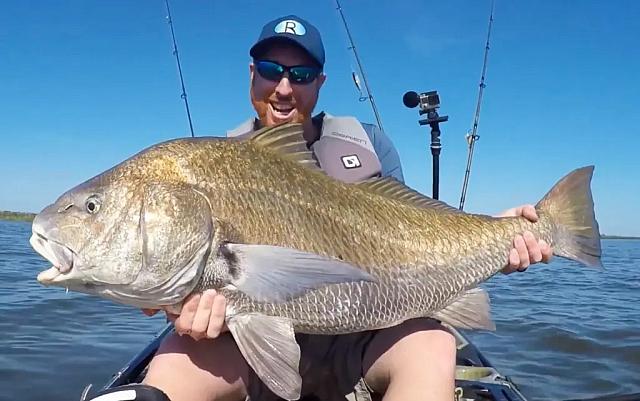 Ψάρι Φλόριντα