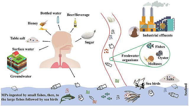 ΜΙΚΡΟΠΛΑΣΤΙΚΑ