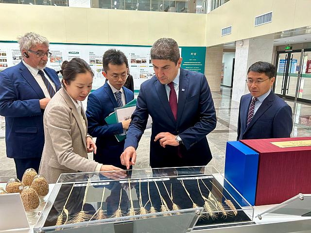 αυγενάκης κίνα