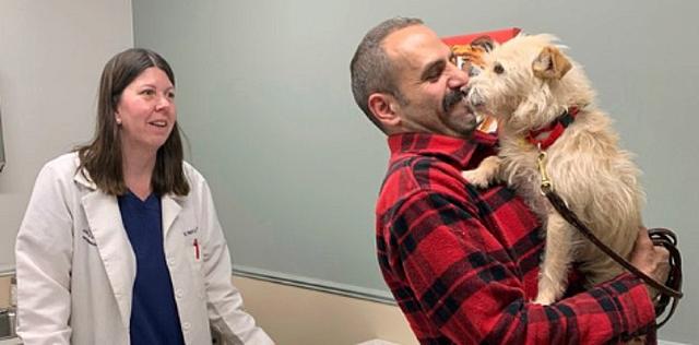 μίσκα σκυλίτσα