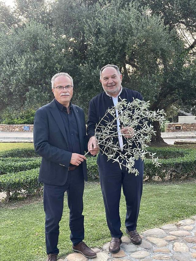 κουρακης βουβες