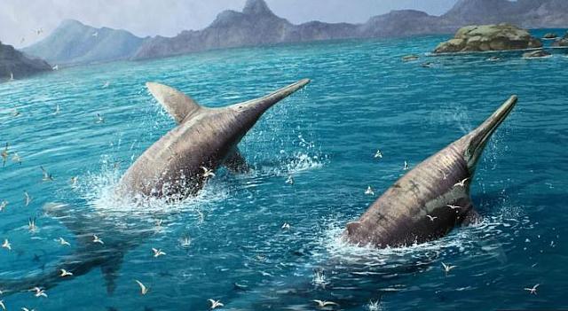 θαλασσιο ερπετο