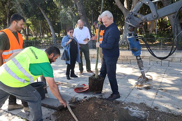 Αλέξης Καλοκαιρινός