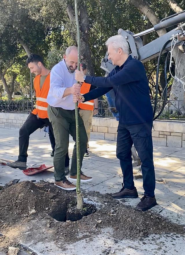 Αλέξης Καλοκαιρινός