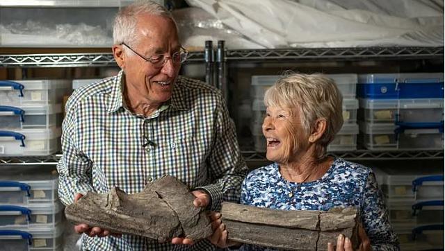 θαλασσιο ερπετο