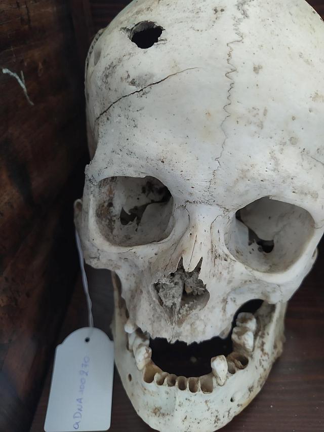 ταυτοποιηση