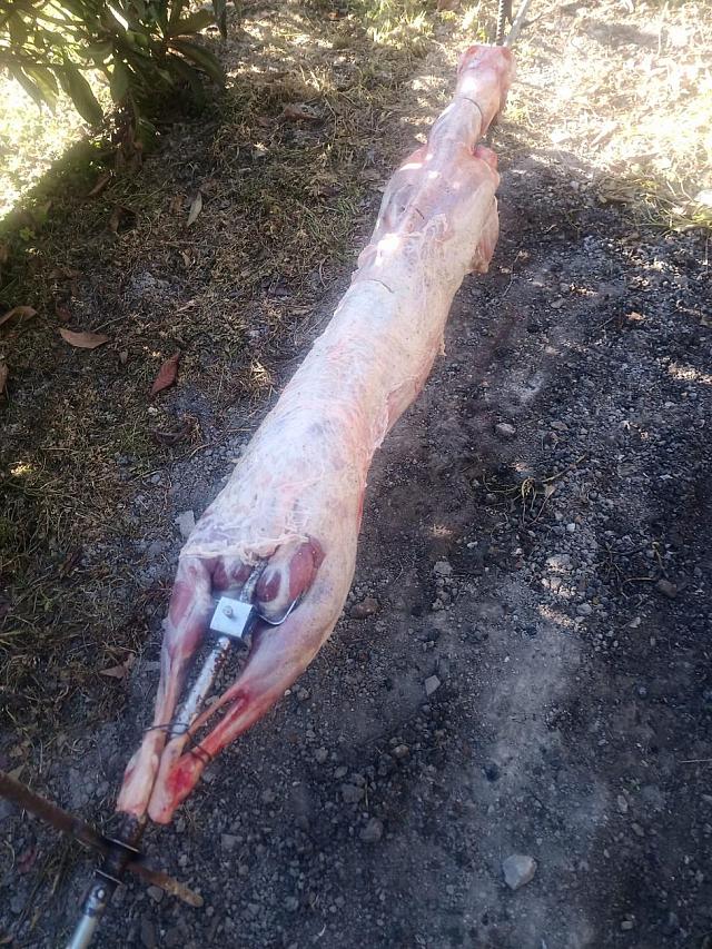 ψησιμο οβελια