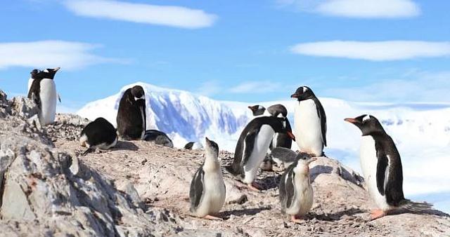 ανταρκτικη