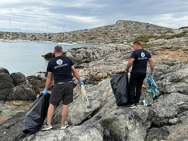 περιβαλλοντική δράση