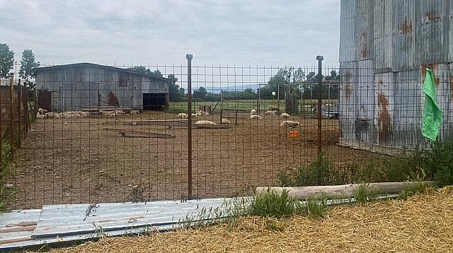 Κιλκίς κτηνοτροφική μονάδα