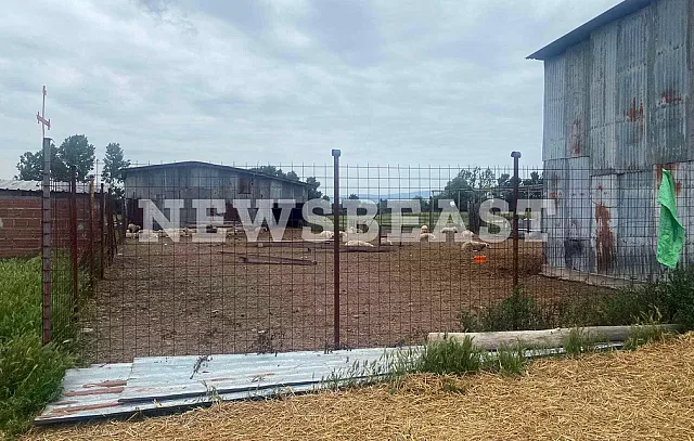 κτηνοτροφική μονάδα Κιλκίς