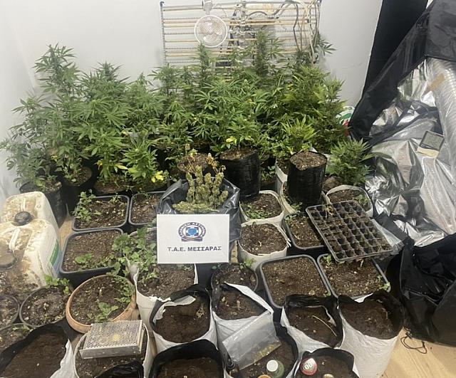 κάνναβη τυμπάκι