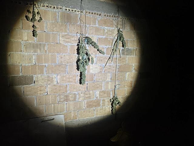 κάνναβη τυμπάκι