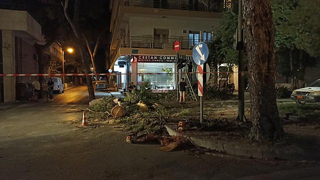 πτώση δέντρου στην Σμπώκου