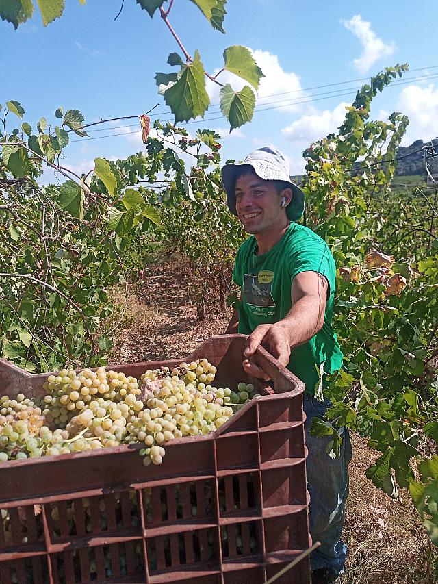 ΝΕΟΙ ΑΓΡΟΤΕΣ