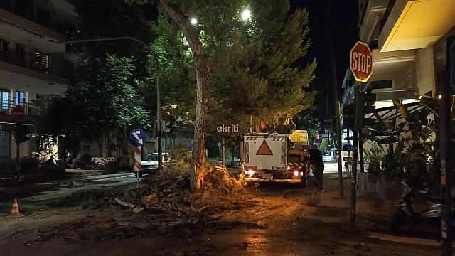 πτώση δέντρου στην Σμπώκου