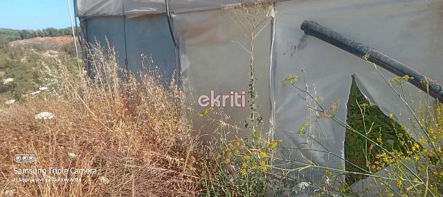 θερμοκήπιο άρβη