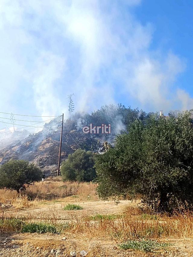 Φωτιά Κορώνη Μαγαρά