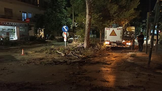 πτώση δέντρου στην Σμπώκου