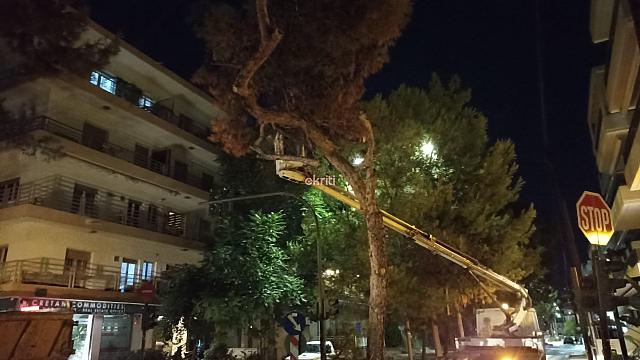 πτώση δέντρου στην Σμπώκου