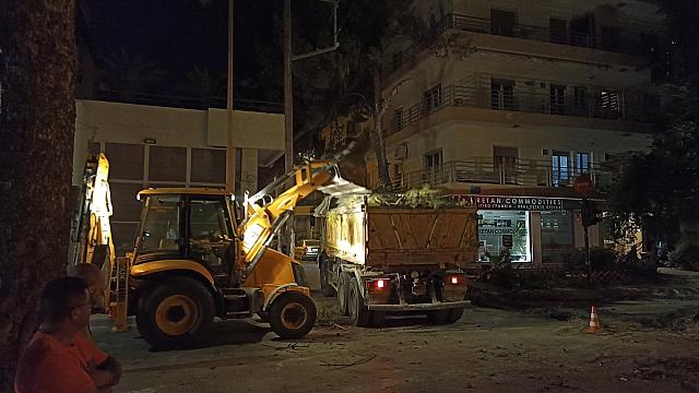 πτώση δέντρου στην Σμπώκου