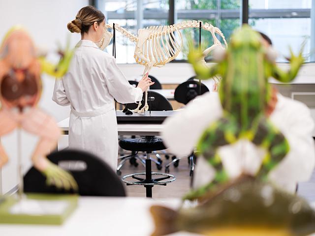 ΕΥΡΩΠΑΙΚΟ ΠΑΝΕΠΙΣΤΗΜΙΟ ΚΥΠΡΟΥ ΚΤΗΝΙΑΤΡΙΚΗ ΣΧΟΛΗ