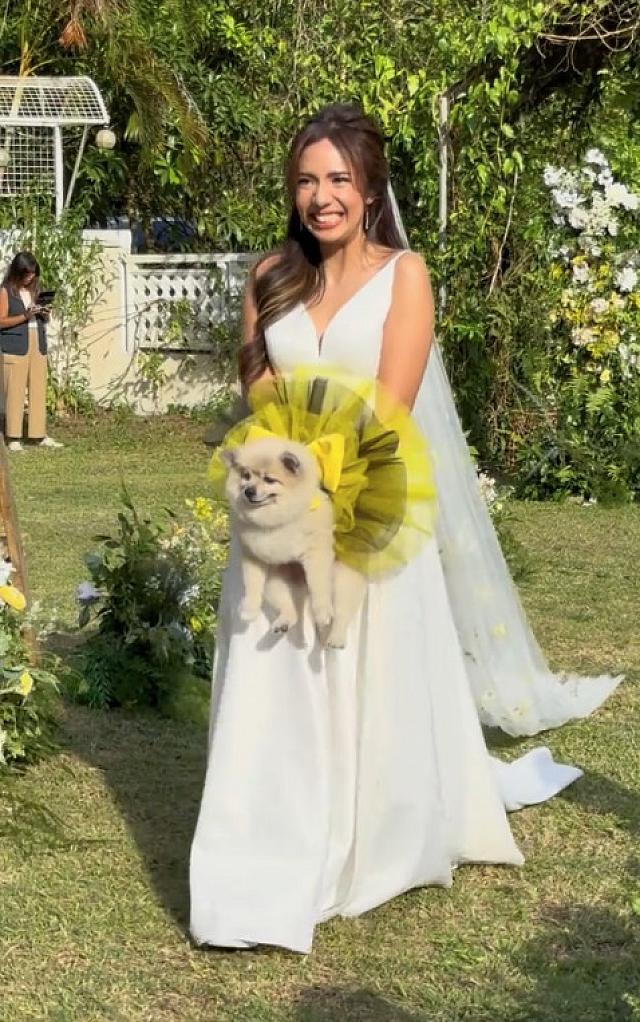 ΝΥΦΗ ΜΕ ΣΚΥΛΟ